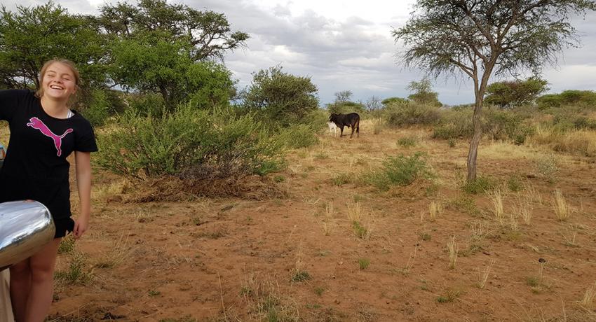 Desert Game Farm & Tented Lodge - Wildlife & Game Drive