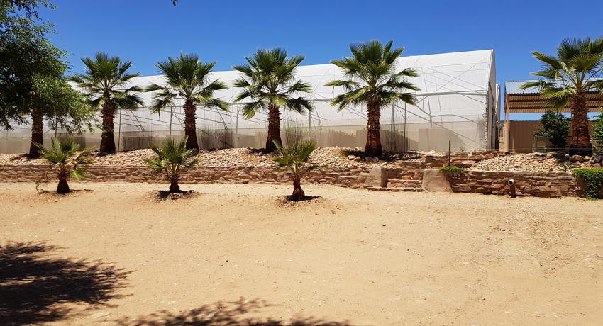 Desert Game Farm & Tented Lodge - Our Lodge