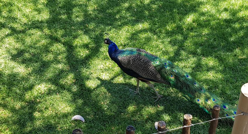 Desert Game Farm & Tented Lodge - Our Lodge