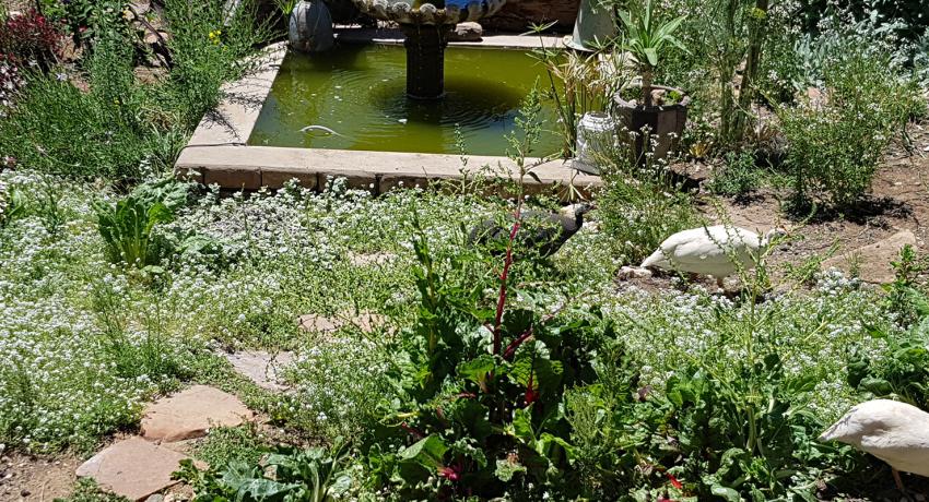 Desert Game Farm & Tented Lodge - Our Lodge