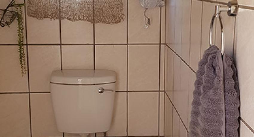 Desert Farm & Tented Lodge - Our Facilities
