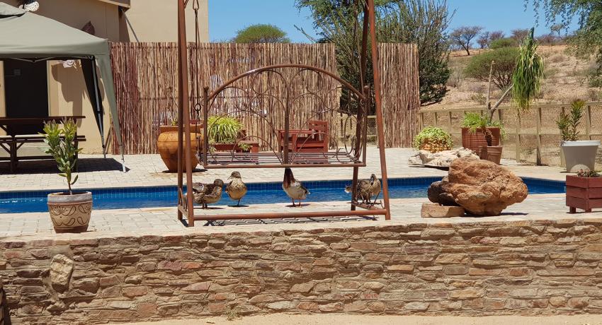 Desert Farm & Tented Lodge - Our Facilities