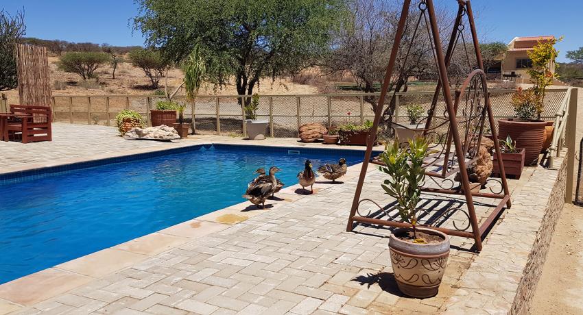 Desert Game Farm & Tented Lodge - Bird Watching