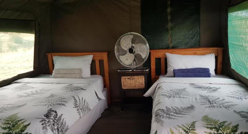 Hartebees Tent