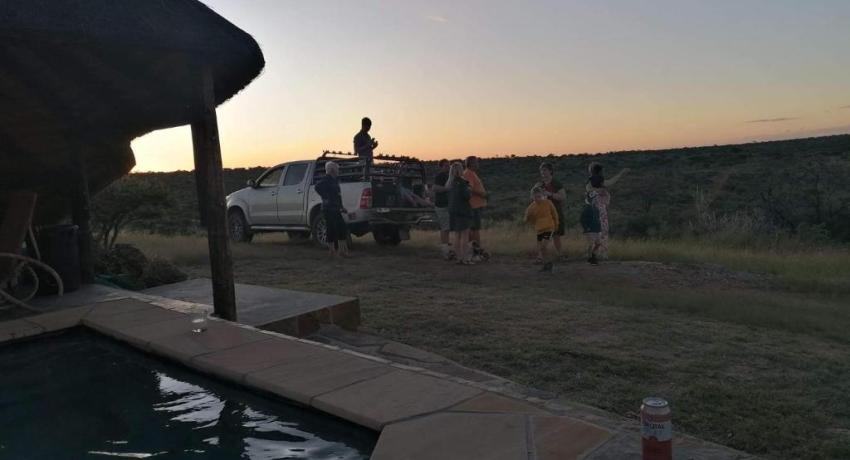 Blesbok