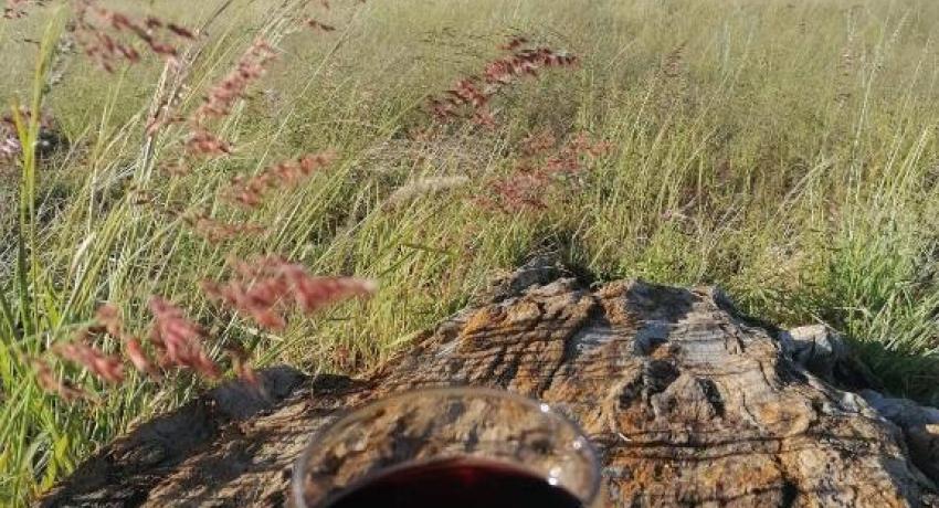 Desert Game Farm & Tented Lodge - Camping