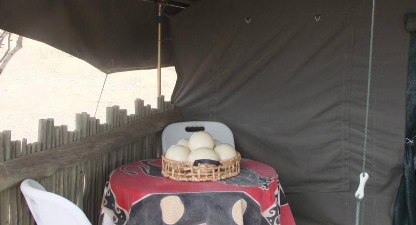 Impala Tent