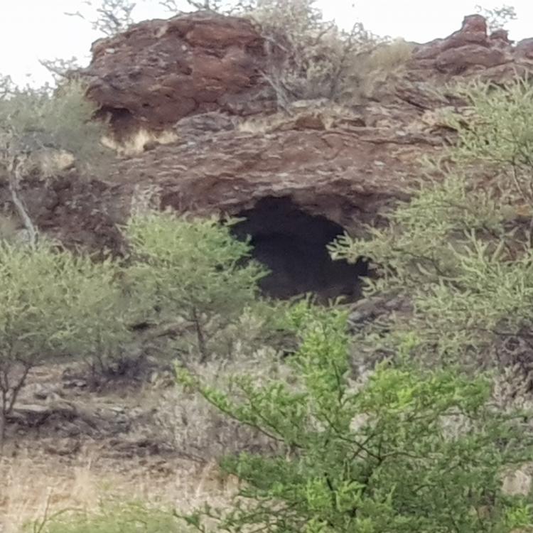 Desert Game Farm & Tented Lodge - Camping